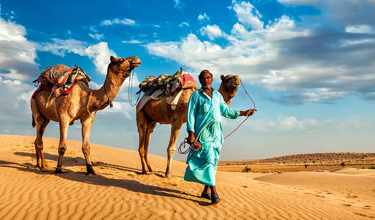 Jaisalmer & Jodhpur